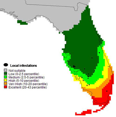 Model prediction of climate suitability for West Indian marsh grass, Hymenachne amplexicaulis (Rudge) Nees (Poaceae), in Florida, using herbarium specimens from New York and Missouri Botanical Gardens