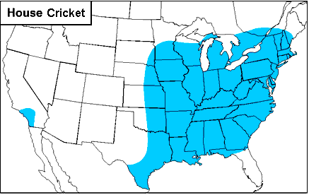 Winter Insect Activity (snow, freezing, USA, most) - Weather ...