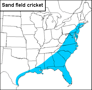 U.S. distribution of the common chirping field cricket, Gryllus firmus Scudder.