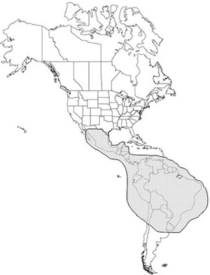 The geographical distribution of the human bot fly, Dermatobia hominis (Linnaeus f.). 