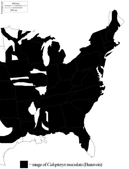Geographic range of the ebony jewelwing, Calopteryx maculata (Beauvois), in the United States
