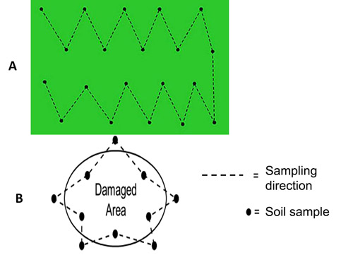 Patterns of sampling in fields with suspected plant parasitic nematode problems. 
