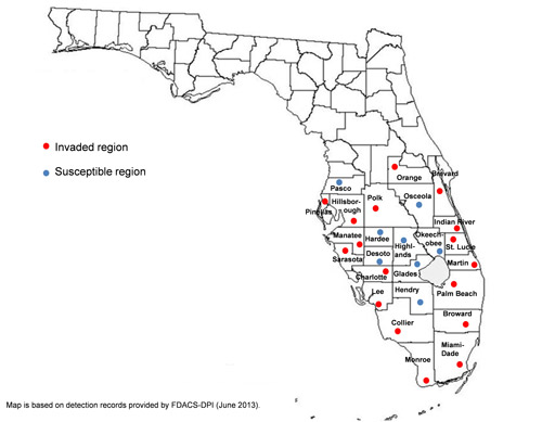 Distribution map of rugose spiraling whitefly, Aleurodicus rugioperculatus Martin, in Florida.