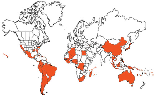 World distribution map of citrus snow scale, Unaspis citri Comstock.