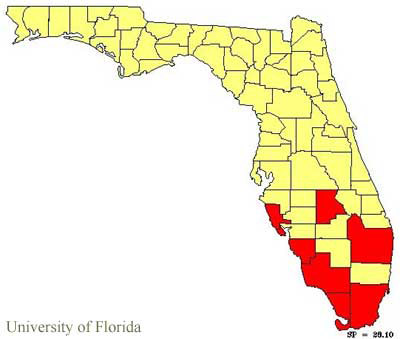 County records of Pseudosphinx tetrio (Linnaeus) in Florida.