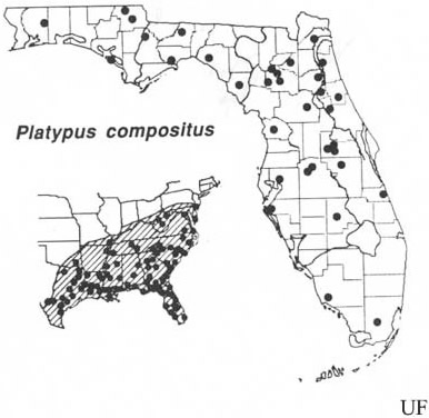 Distribution of Platypus compositus (Say). Based on Beal & Massey (1945), Blackman (1922), Wood (1958, 1979), Staines (1981) and personal observations. 