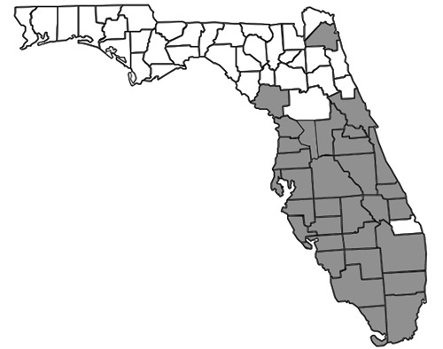 County distribution map of Nylanderia bourbonica (Forel) in Florida constructed using information from Deyrup (2017).