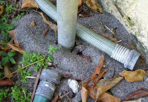 Soil displaced by bigheaded ants, Pheidole megacephala (Fabricius), digging around a water pipe. 