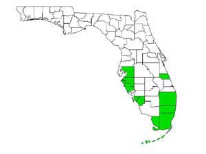 Map of Florida showing counties with Camponotus planatus (Roger) populations. 