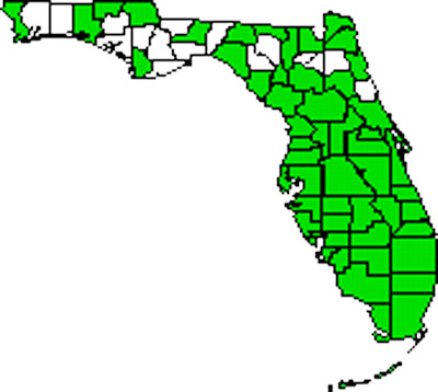 Florida distribution of Crematogaster ashmeadi (Emery).