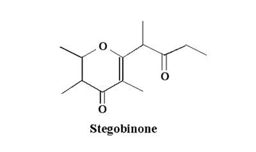 Chemical structure of stegobinone, a sex pheromone of the drugstore beetle, Stegobium paniceum (L.). 