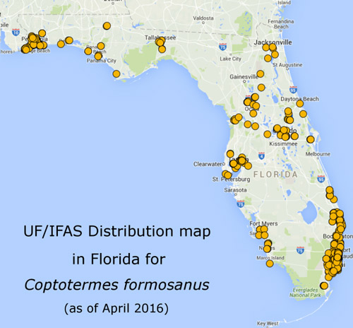 Known distribution of the Formosan subterranean termite, Coptotermes formosanus Shiraki, in Florida, as of 2016