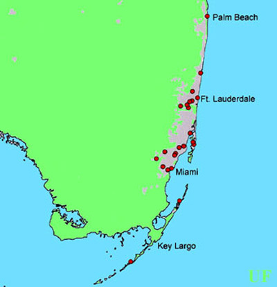 Collection sites of the termite Prorhinotermes simplex (Hagen) in Florida (records from 1985-2002). 