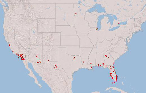 Locations of confirmed records of the western drywood termite, Incisitermes minor (Hagen), in Florida. 