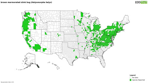 Distribution of the brown marmorated stink bug, Halyomorpha halys (Stål), in the United States based on reports submitted 