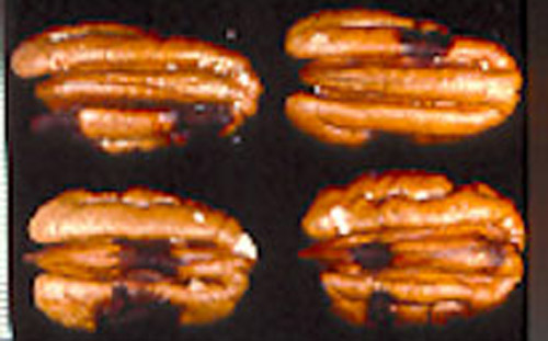 View of kernel spots on four nuts caused by feeding from the brown stink bug, Euschistus servus (Say). 