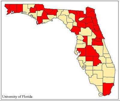 County records (in red) of the hieroglyphic moth, Diphthera festiva (F.) in Florida based on label data taken from specimens examined in the Florida State Collection of Arthropods (FSCA) April 2004. 
