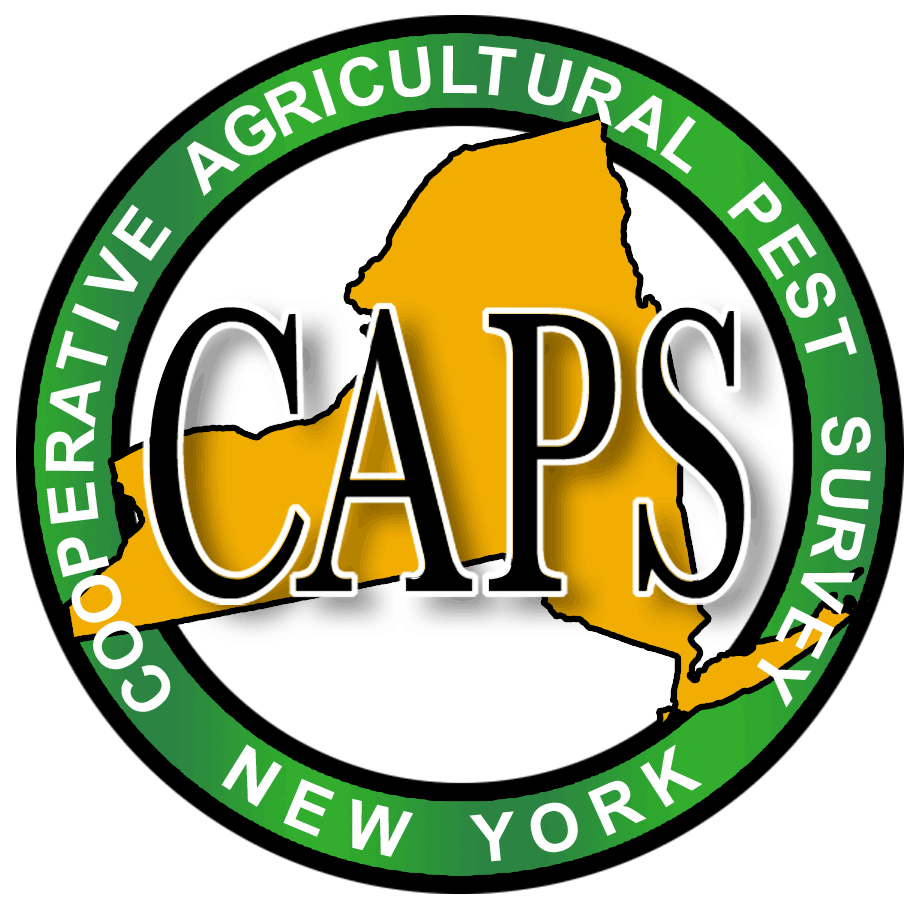 caps logo