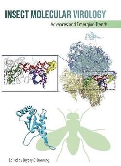 The cover of the Insect Molecular Virology book