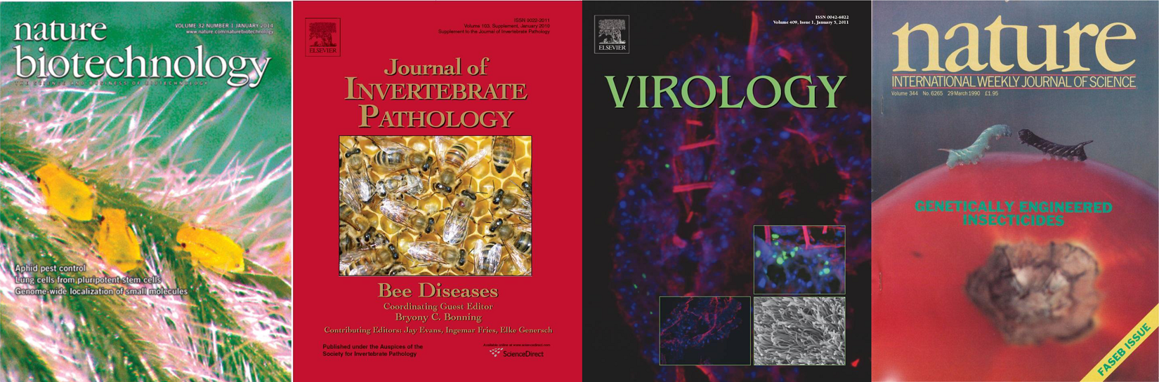 A montage of Four journal covers featuring images from Bonning lab research