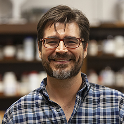 Dr. Dan Hahn