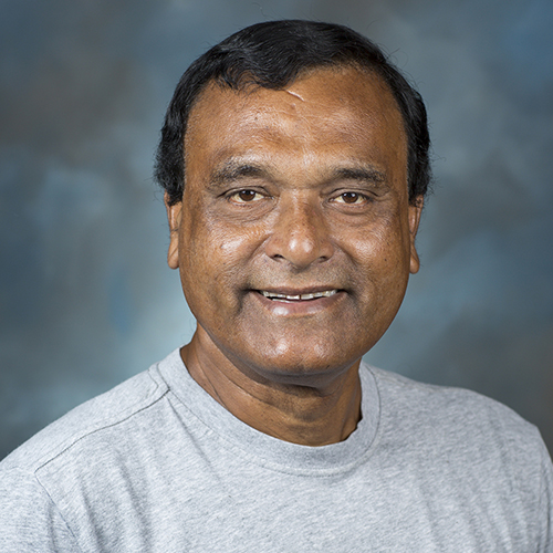 Dr. Dakshina Seal
