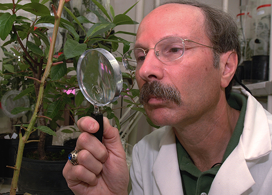 Dr. James Cuda in the laboratory