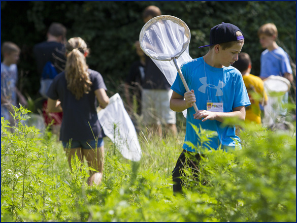 kids collecting insects with nets in the Natural Area Teaching Lab