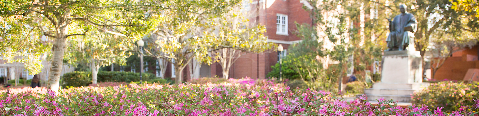 outdoor scene of the UF campus