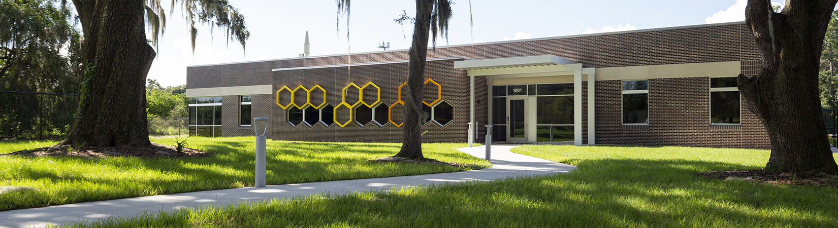 photo of the honey bee lab