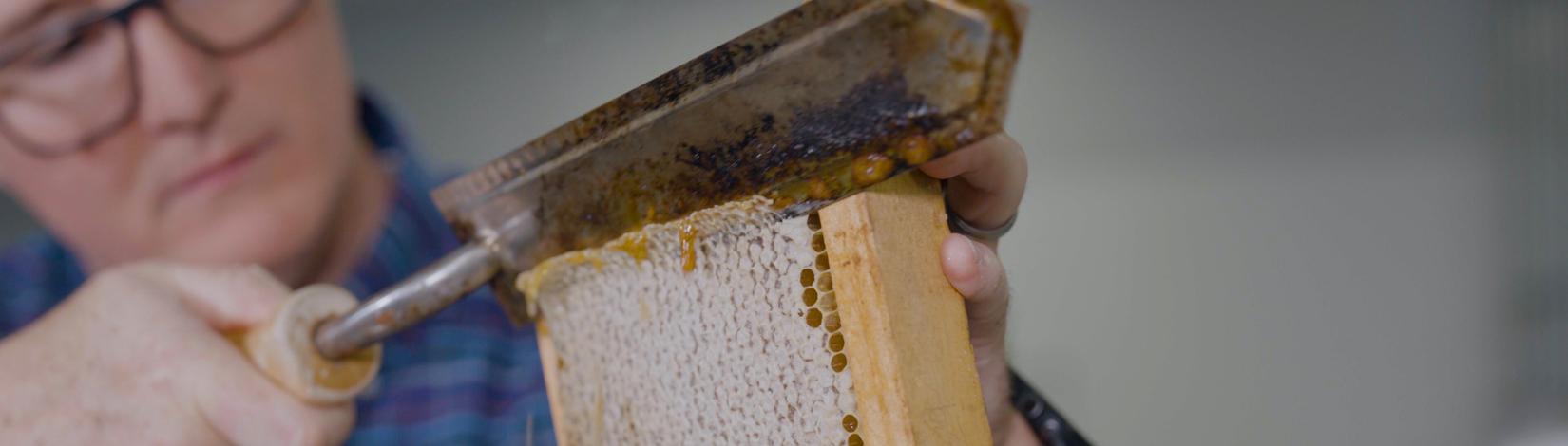 Master Beekeeper Banner