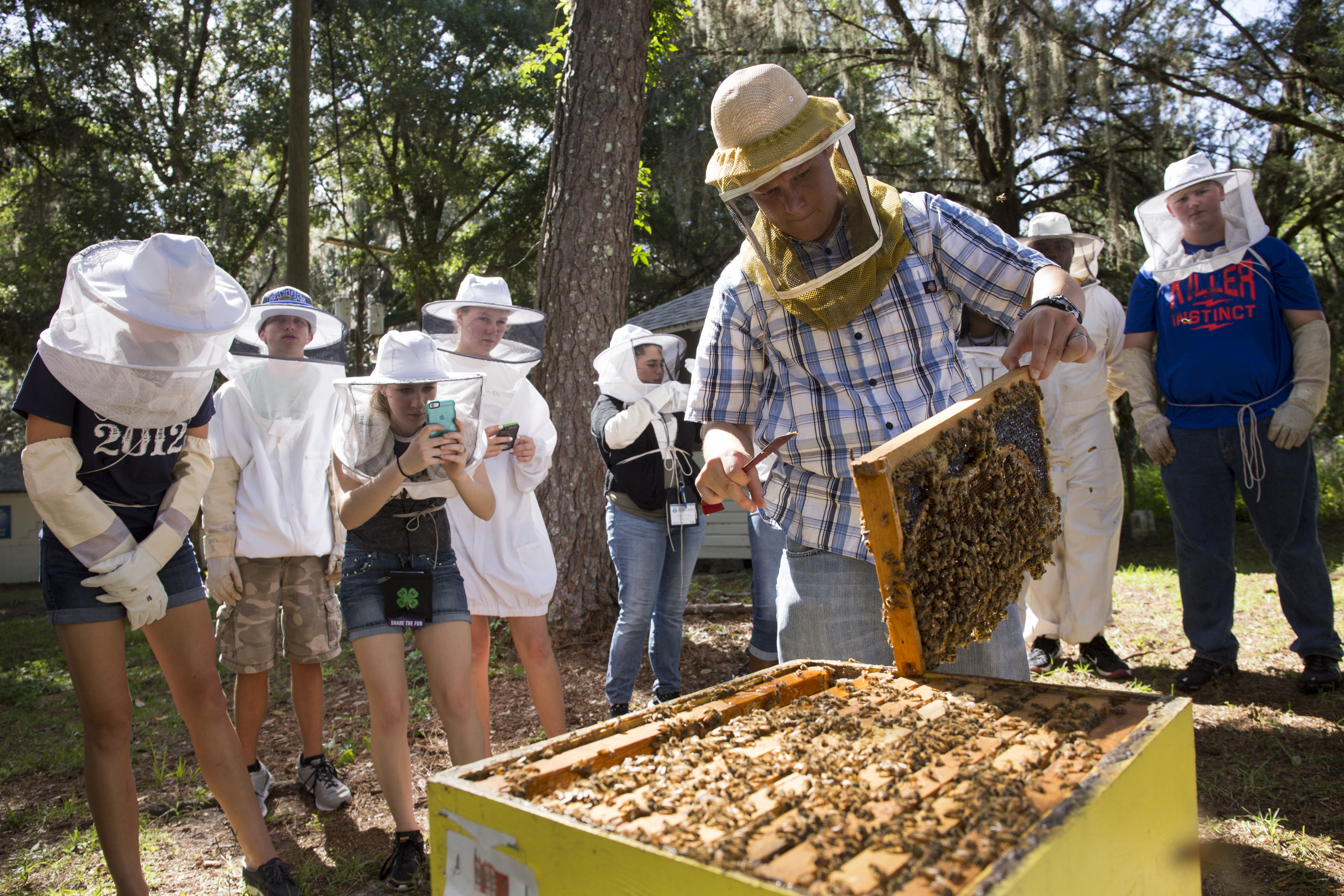 Students watching instructor handle honey bees