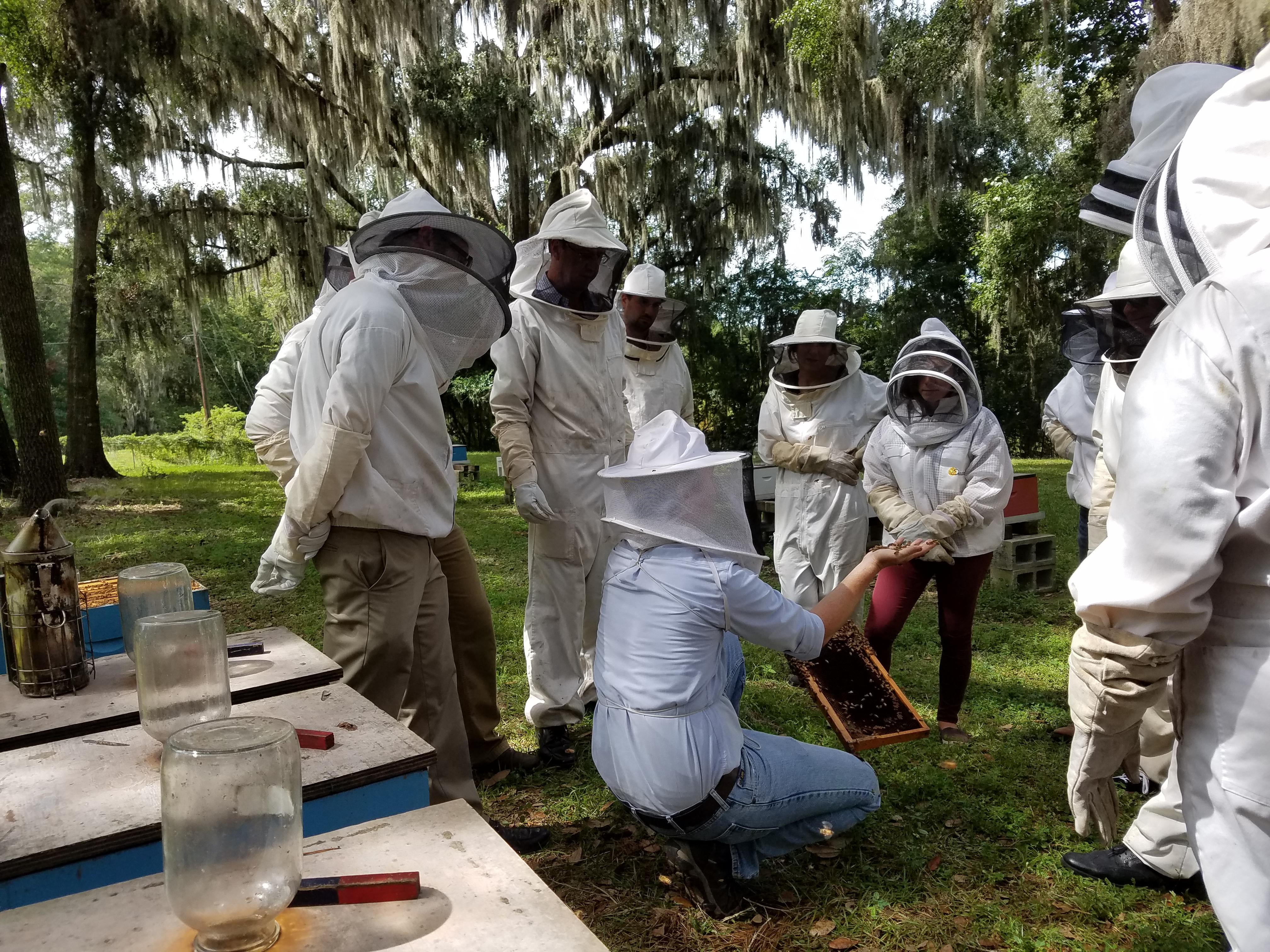 Students learning about honey bees