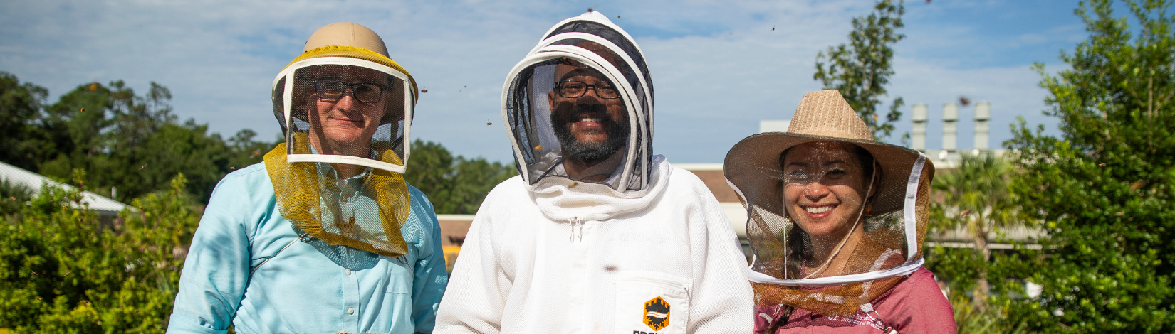 Two hand drawn bees surrounding a hive