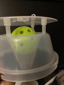 Indoor Pickleball in Yellow-Legged Hornet Trap