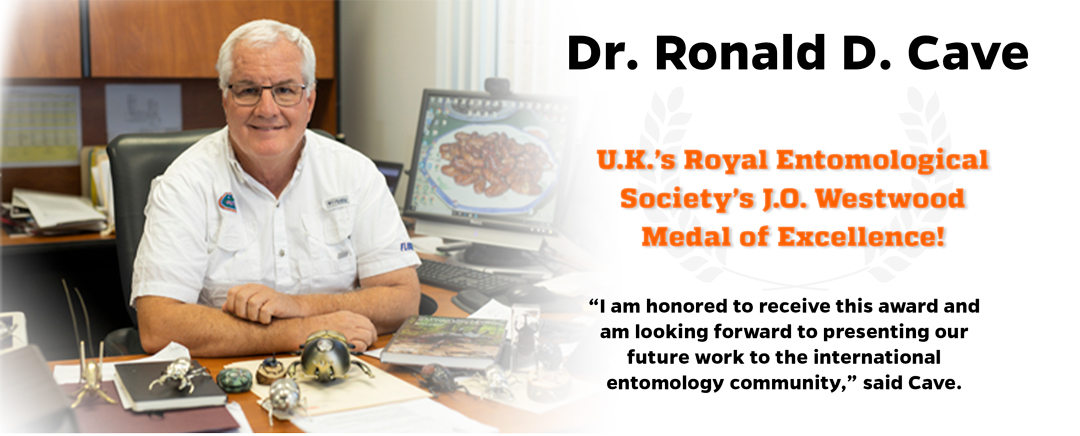 Dr. Ronald Cave sitting at a desk, wins U.K. Royal Entomological society award!