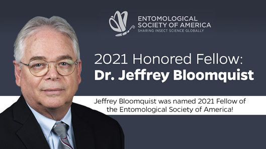 2021 Honored Fellow: Dr. Jeffrey Bloomquist. Jeffrey Bloomquist was named 2021 Fellow of the Entomological Society of America!