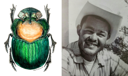 beetle drawing and black and whote portrait. 