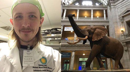 In June, Jason Williams took a trip to the Smithsonian Institution’s National Museum of Natural History in Washington, D.C. to receive molecular training and prepare 96 ant samples for one of my projects. 