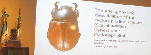 Dr. Ronald Cave and Matthew Moore attended the XII Reunión Latinoamericana de Scarabaeoidología in Guatemala City, Guatemala, 17-22 June, where they presented their current research on dynastine scarab beetles. 