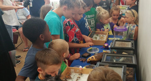 Young visitors checking out the display of specimens and live arthropods at the Forest Public Library. 