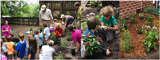 The Florida Museum’s Butterfly Gardens at Elementary Schools project led by Dr. Andrei Sourakov has conducted a record seven plantings this season.