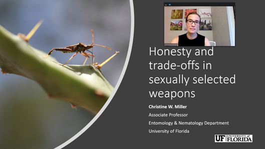 ABOVE: Dr. Christine W. Miller spoke on “Honesty and trade-offs in sexually selected weapons” at both the University of Oklahoma and the University of Houston on September 16th. Her seminar and meetings with faculty and students were virtual.