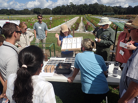 Dr. Rachael Mallinger teaches “Creating pollinator-friendly landscapes.”